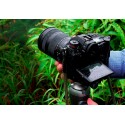 Цифровая фотокамера Panasonic Lumix DC-S1M Kit 24-105mm Black DC-S1MEE-K