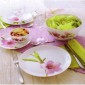 Сервиз столовый Luminarc Water Color 19 предметов E4905