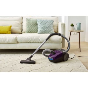 Пылесос мешковый Philips FC8295/01